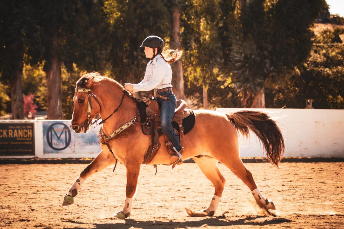 Madi Weddle pole bends at All Around Horse Show, where she placed first in both English and Western Events.