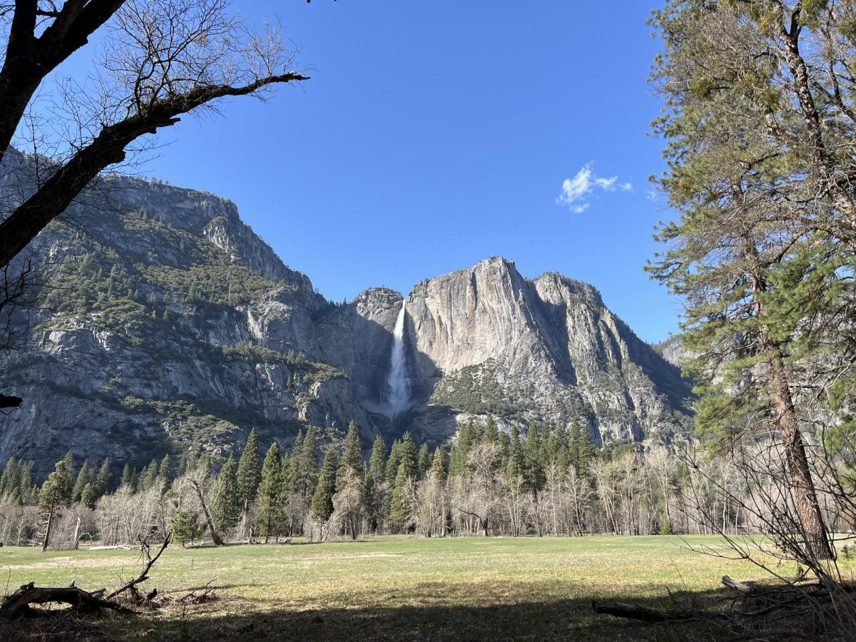 Yosemite in the summer. 