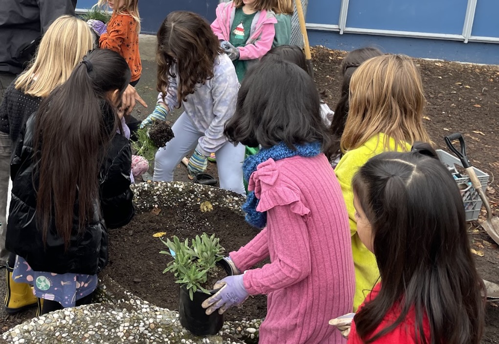 Loma Verde's Green Team plants a native garden. Photo courtesy of Lisa Clarke. 