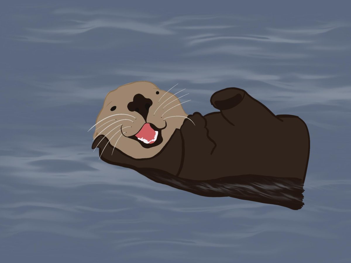 Seas the day: How to help struggling local species