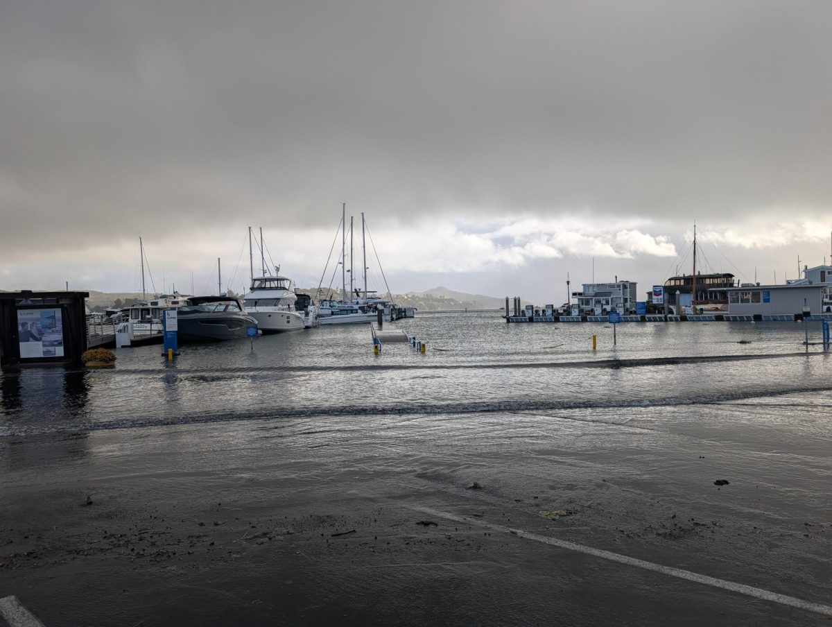 Photo taken of the flooding in Safe Harbor Loch Lomond, a private marina in San Rafael. The flooding caused roads in the area, such as Loch Lomond drive to be closed.